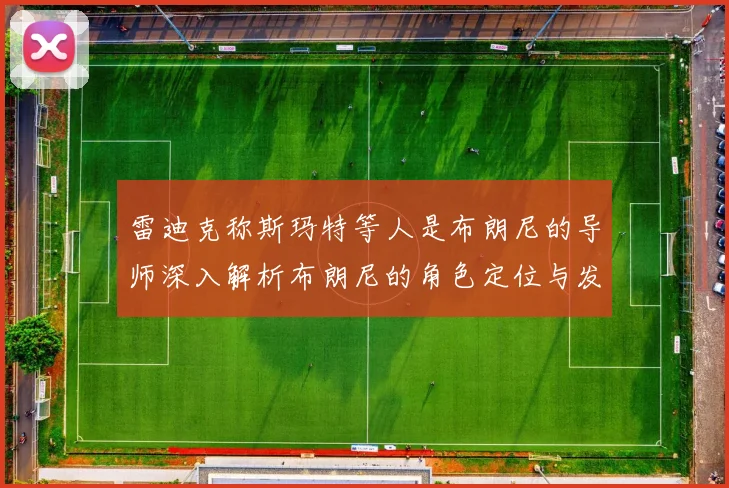 雷迪克称斯玛特等人是布朗尼的导师深入解析布朗尼的角色定位与发展方向