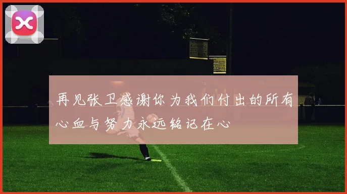再见张卫感谢你为我们付出的所有心血与努力永远铭记在心