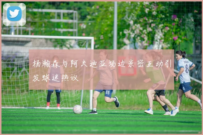 杨瀚森与阿夫迪亚场边亲密互动引发球迷热议