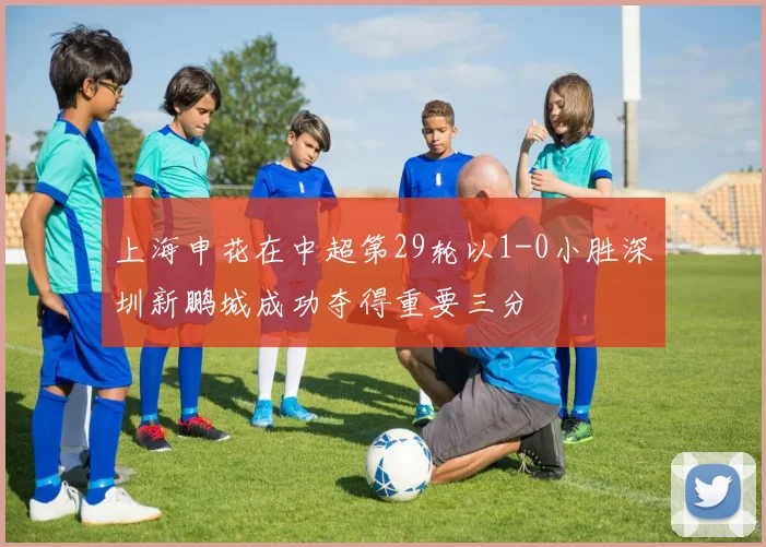 上海申花在中超第29轮以1-0小胜深圳新鹏城成功夺得重要三分